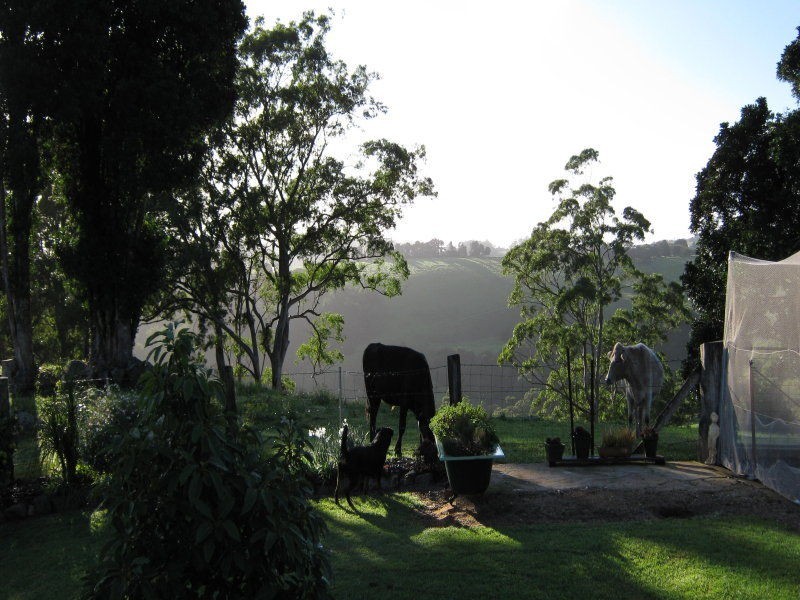 Lot 26 Gardiners Lane, Comboyne NSW 2429