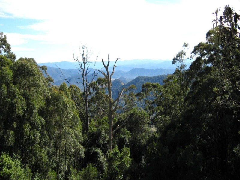 Lot 26 Gardiners Lane, Comboyne NSW 2429