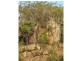 410 Old Booyal Road, Dallarnil QLD 4621