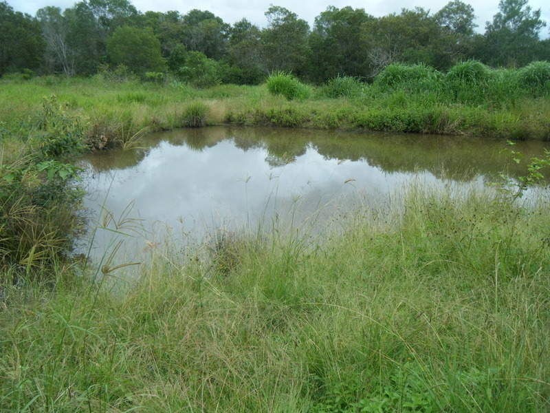 125 Rankin Road, Childers QLD 4660