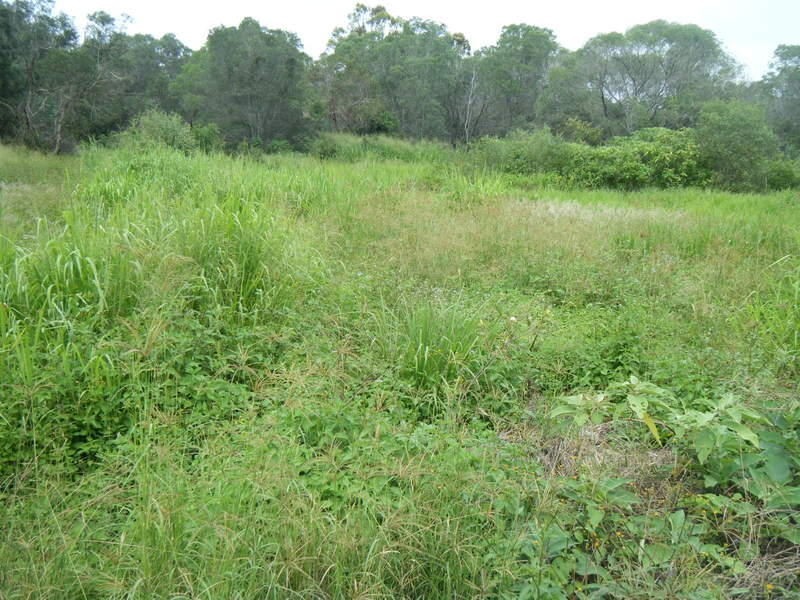 125 Rankin Road, Childers QLD 4660