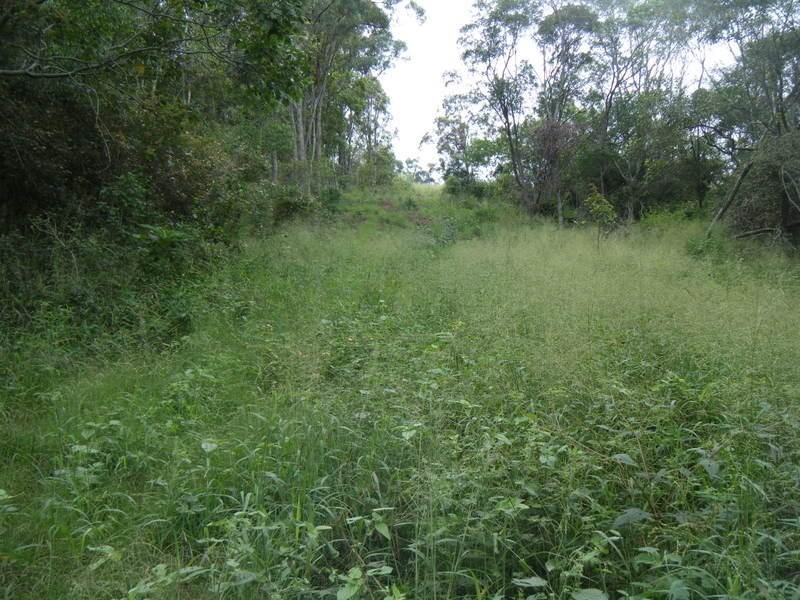 125 Rankin Road, Childers QLD 4660