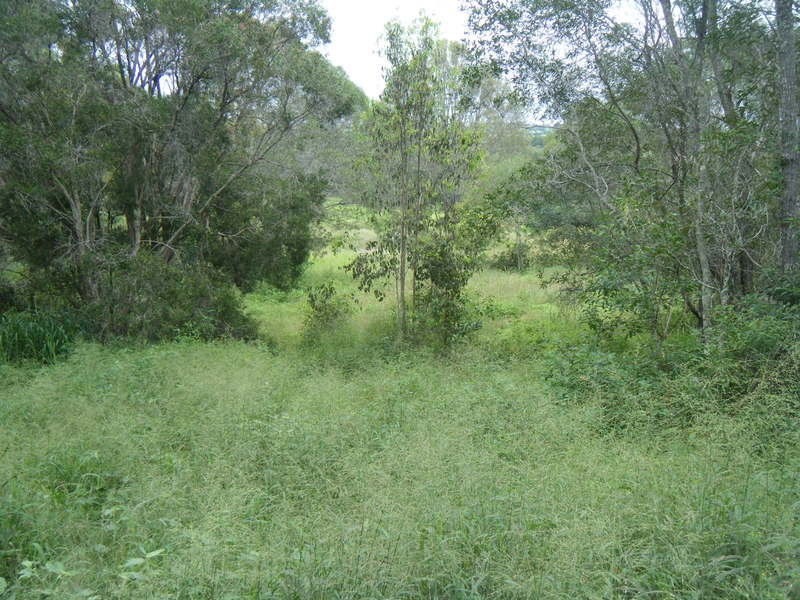 125 Rankin Road, Childers QLD 4660