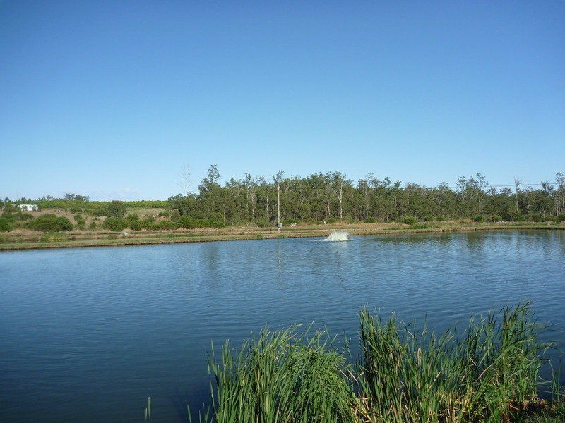 Childers QLD 4660
