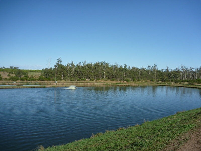 Childers QLD 4660