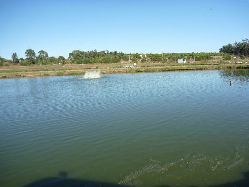 Childers QLD 4660