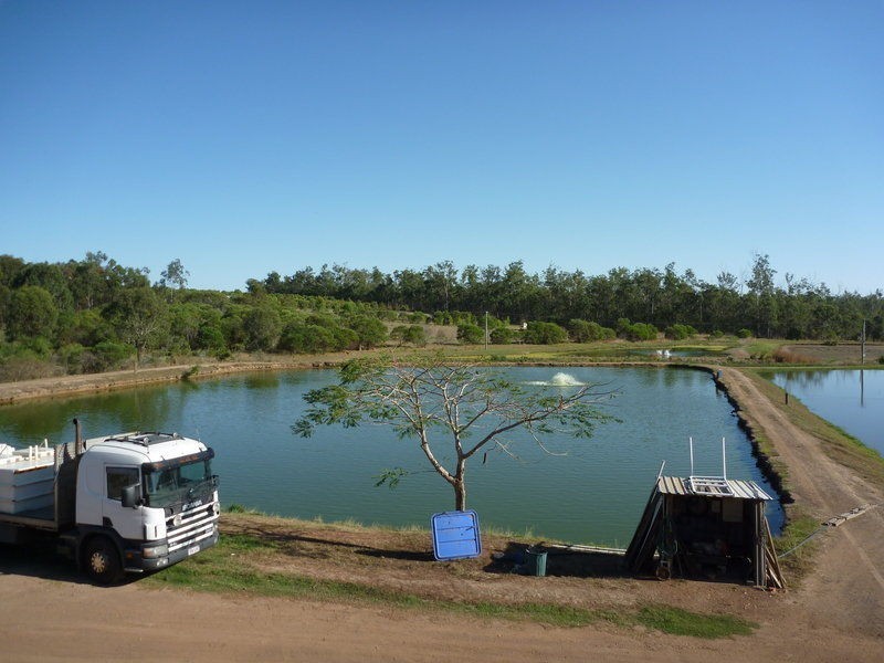 Childers QLD 4660