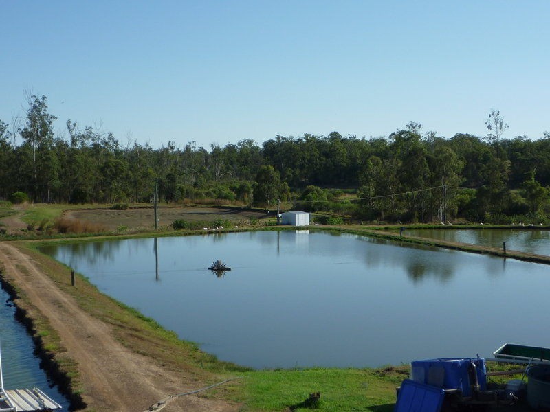 Childers QLD 4660