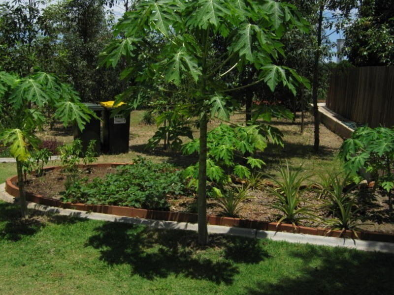 1 Lawman Place, Childers QLD 4660