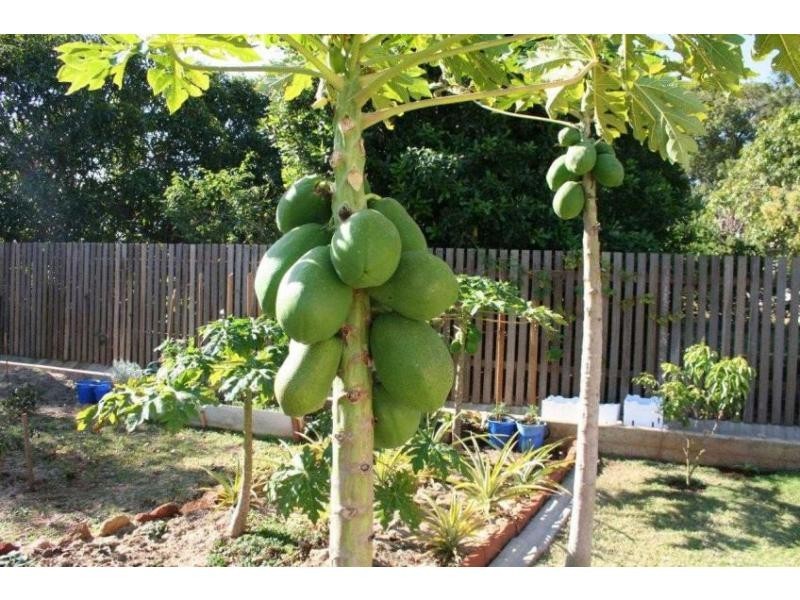 1 Lawman Place, Childers QLD 4660