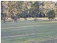 Lot 51 Park Avenue, Abington QLD 4660