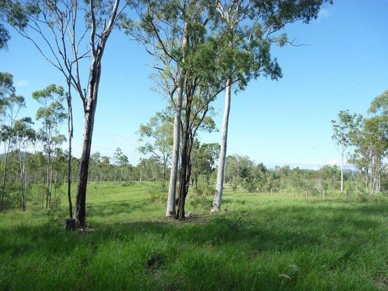 345 Berries Road, Eureka QLD 4660