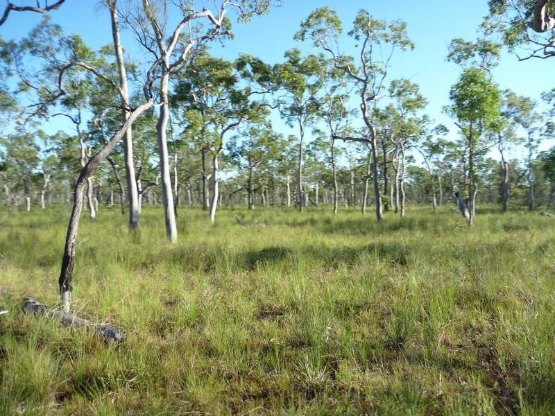 Lot 26 Devils Elbow Road, Buxton QLD 4660