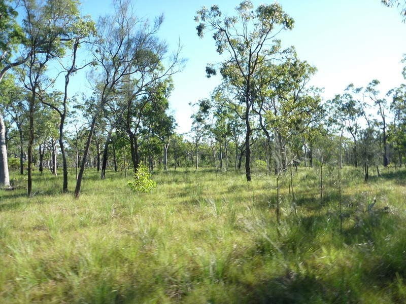 Lot 26 Devils Elbow Road, Buxton QLD 4660