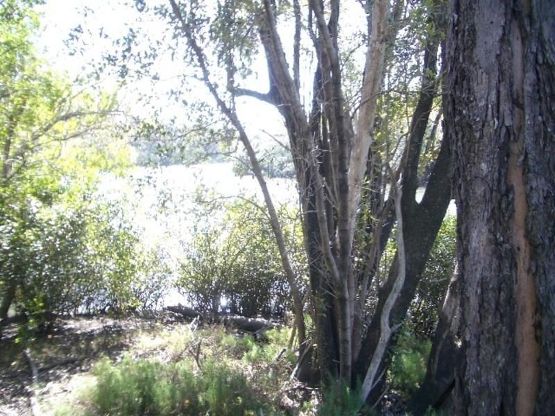 Lot 26 Devils Elbow Road, Buxton QLD 4660