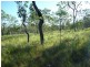 Lot 26 Devils Elbow Road, Buxton QLD 4660
