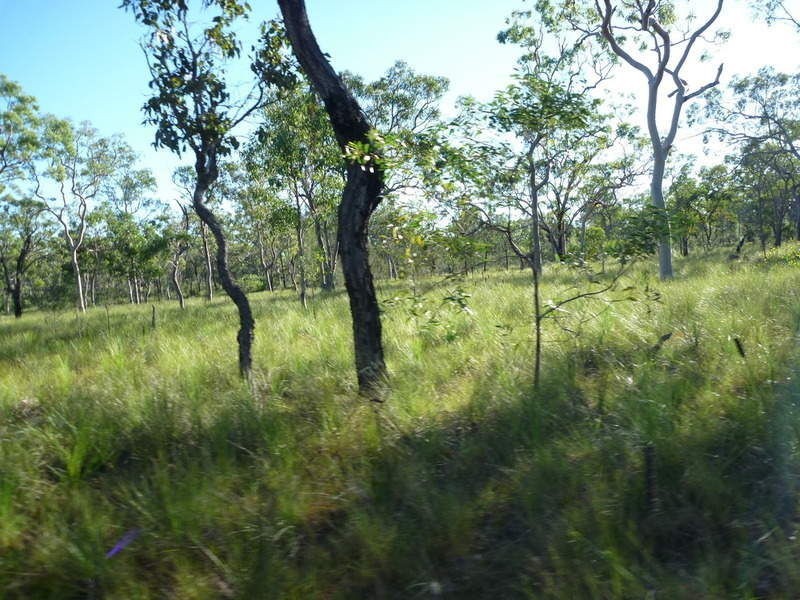 Lot 26 Devils Elbow Road, Buxton QLD 4660