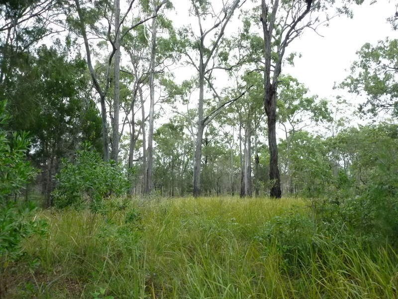 Lot 26 Devils Elbow Road, Buxton QLD 4660