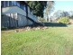 13 Kelvin Street, Apple Tree Creek QLD 4660