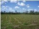 40 Olivers Road, Goodwood QLD 4660