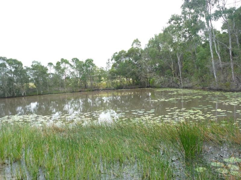 40 Olivers Road, Goodwood QLD 4660