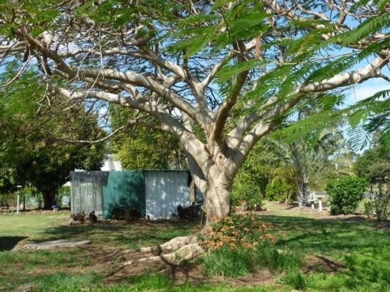 4 Leonard Court, Cordalba QLD 4660