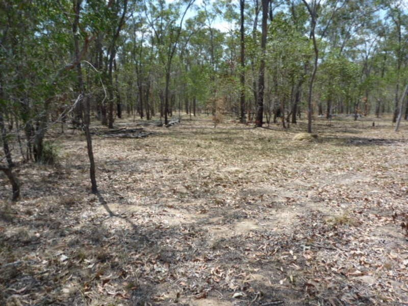 Eureka QLD 4660