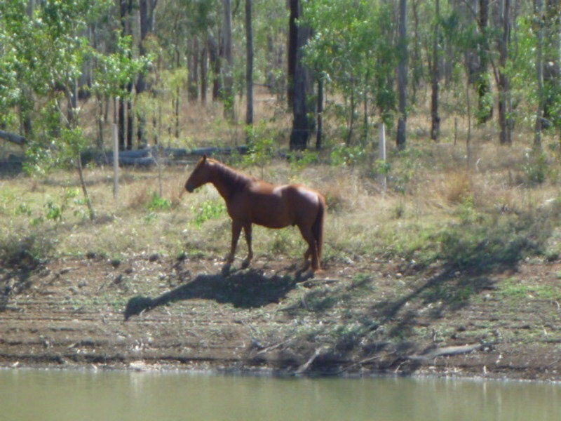 Lot 3-6 Walla Road, Morganville QLD 4671
