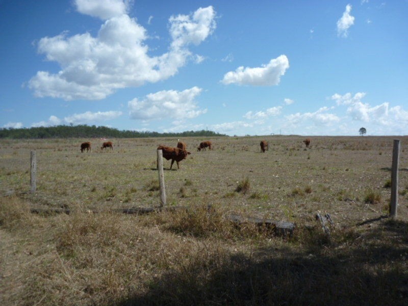 Lot 3-6 Walla Road, Morganville QLD 4671