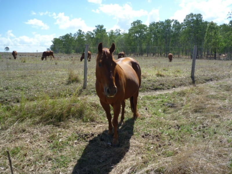 Lot 3-6 Walla Road, Morganville QLD 4671