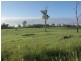 Morganville QLD 4671