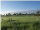 Morganville QLD 4671