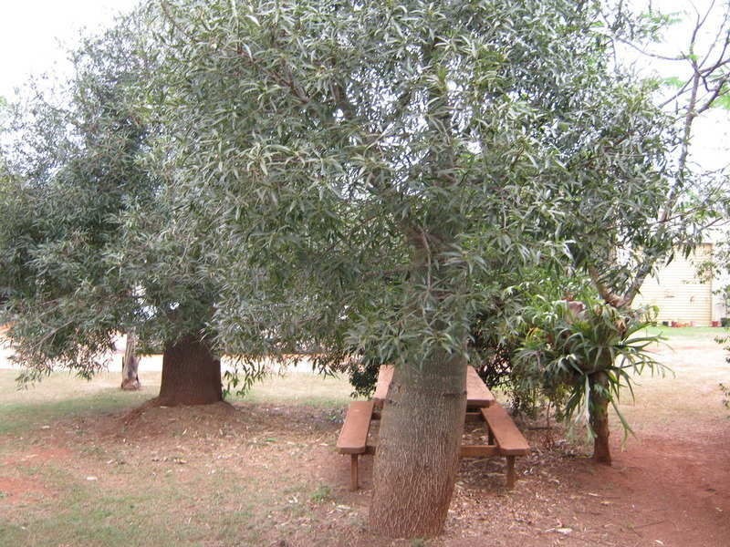 10 Lake View Drive, Apple Tree Creek QLD 4660