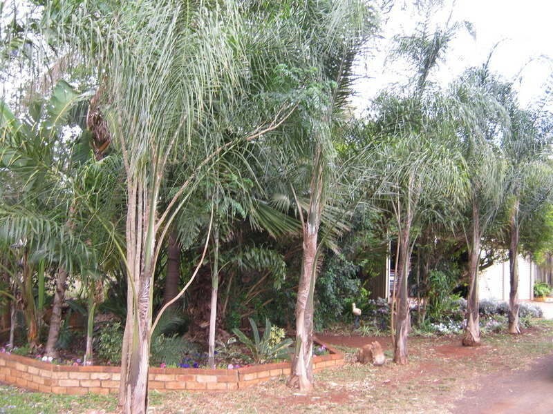 10 Lake View Drive, Apple Tree Creek QLD 4660