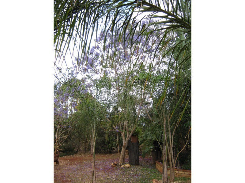 10 Lake View Drive, Apple Tree Creek QLD 4660