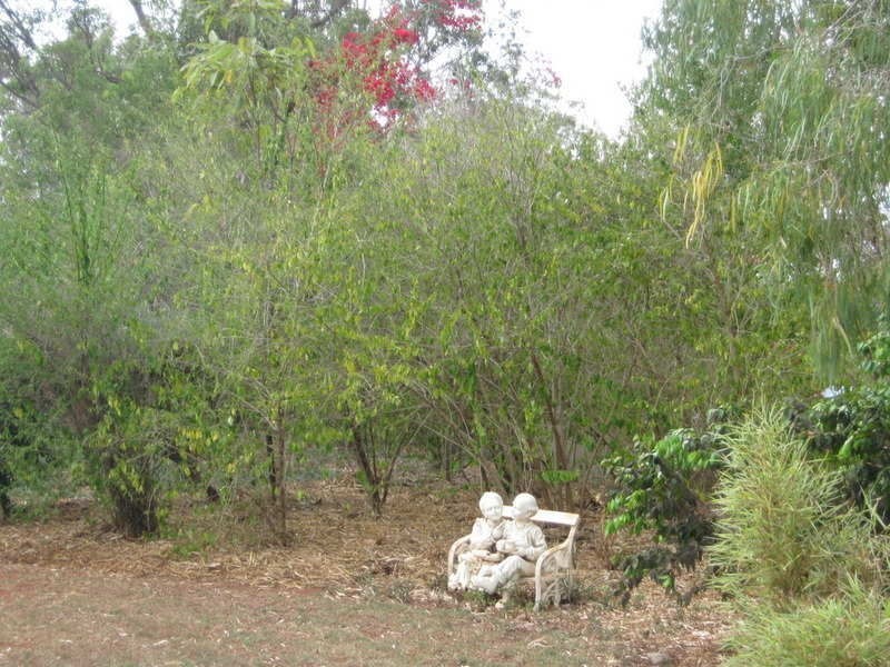 10 Lake View Drive, Apple Tree Creek QLD 4660