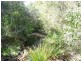 30288 Bruce Highway, Childers QLD 4660