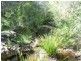 30288 Bruce Highway, Childers QLD 4660