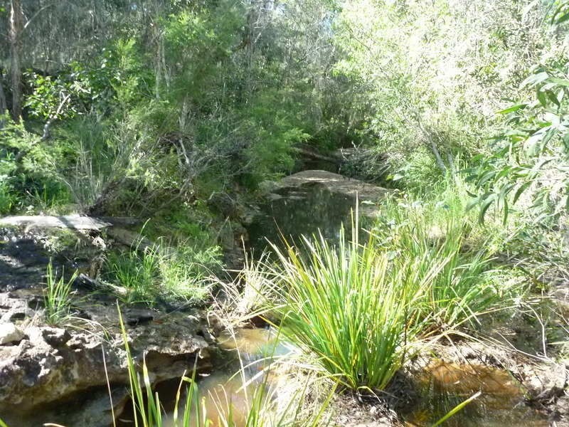 30288 Bruce Highway, Childers QLD 4660