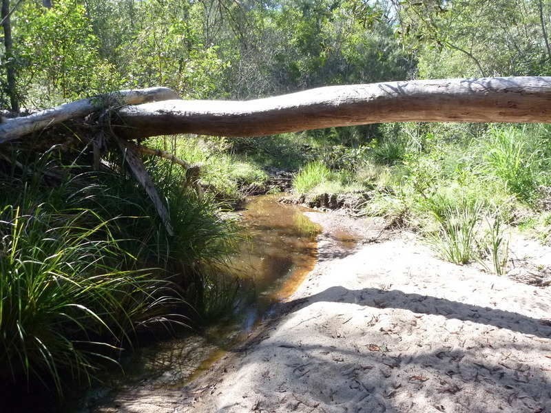 30288 Bruce Highway, Childers QLD 4660