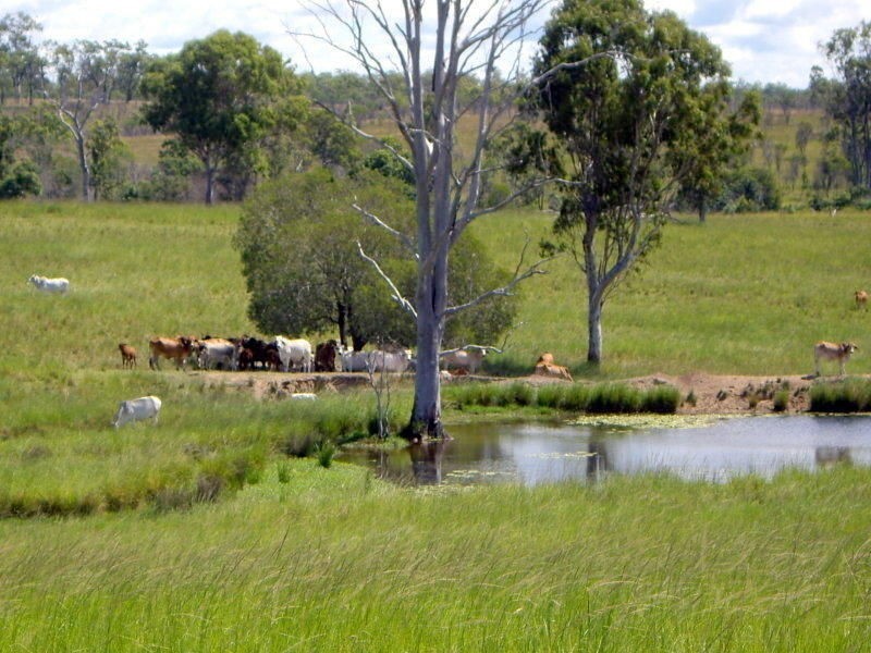 Lot 1 Agnes Vale Road, South Isis QLD 4660
