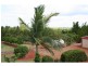 Apple Tree Creek QLD 4660