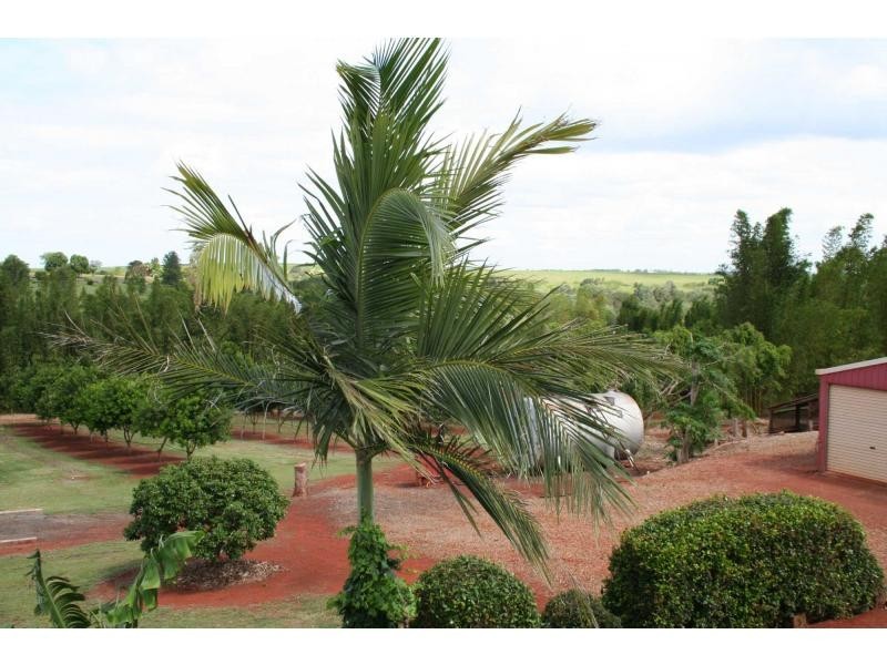 Apple Tree Creek QLD 4660