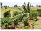 Apple Tree Creek QLD 4660