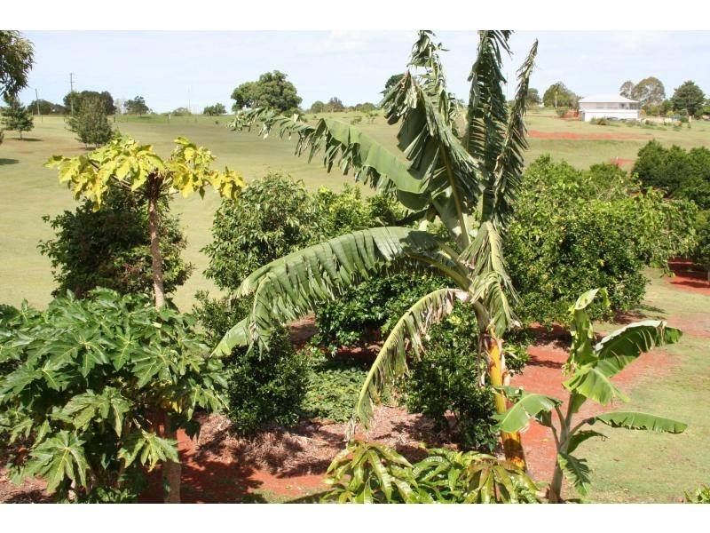 Apple Tree Creek QLD 4660