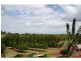 Apple Tree Creek QLD 4660