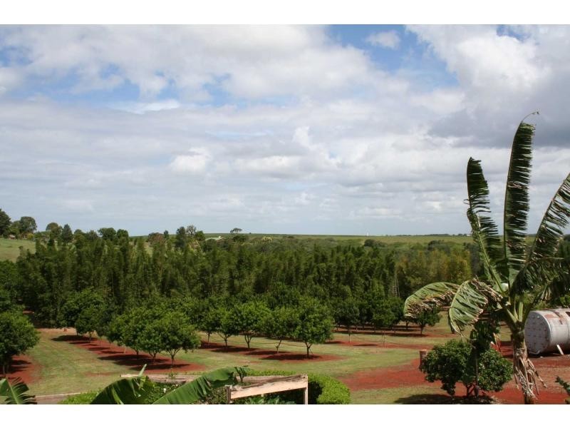 Apple Tree Creek QLD 4660
