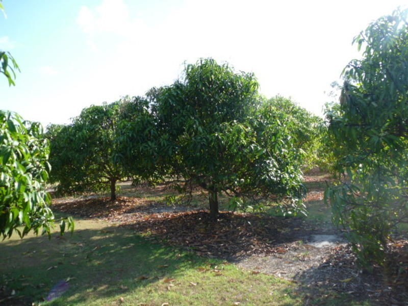 243 Woodgate Road, Goodwood QLD 4660