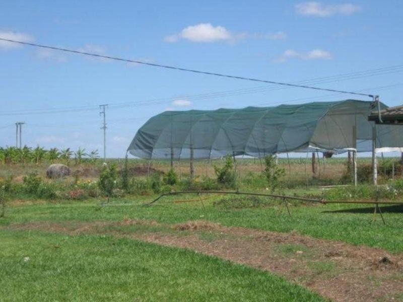 Lot 248 Logging Creek Road, Farnsfield QLD 4660