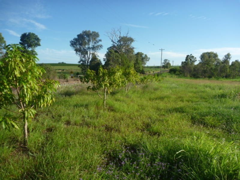56 Mill Road, Childers QLD 4660